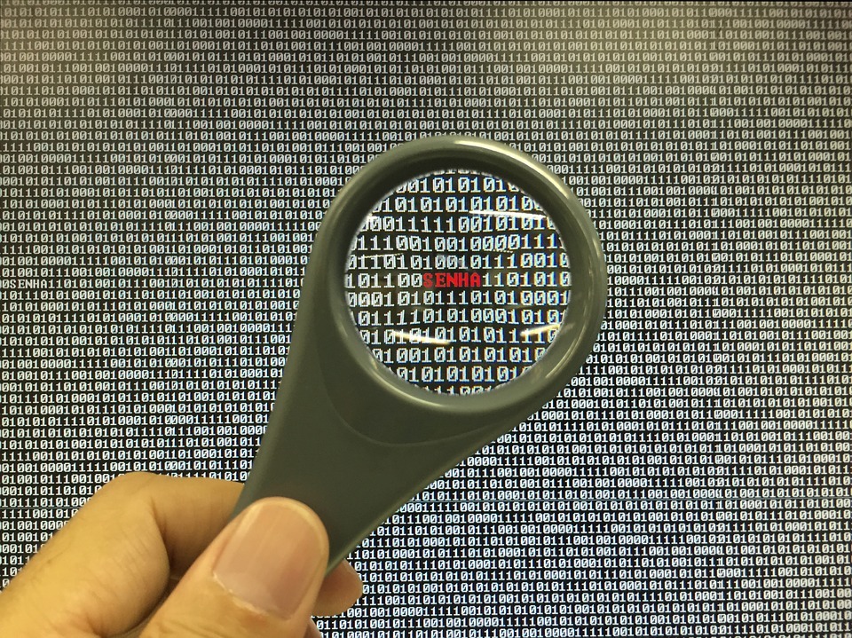 Virus che rubano password, +60% nel 2019